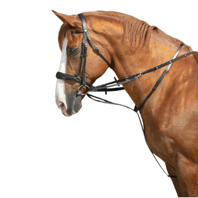 Norton pro - Enrênement Thiedeman noir