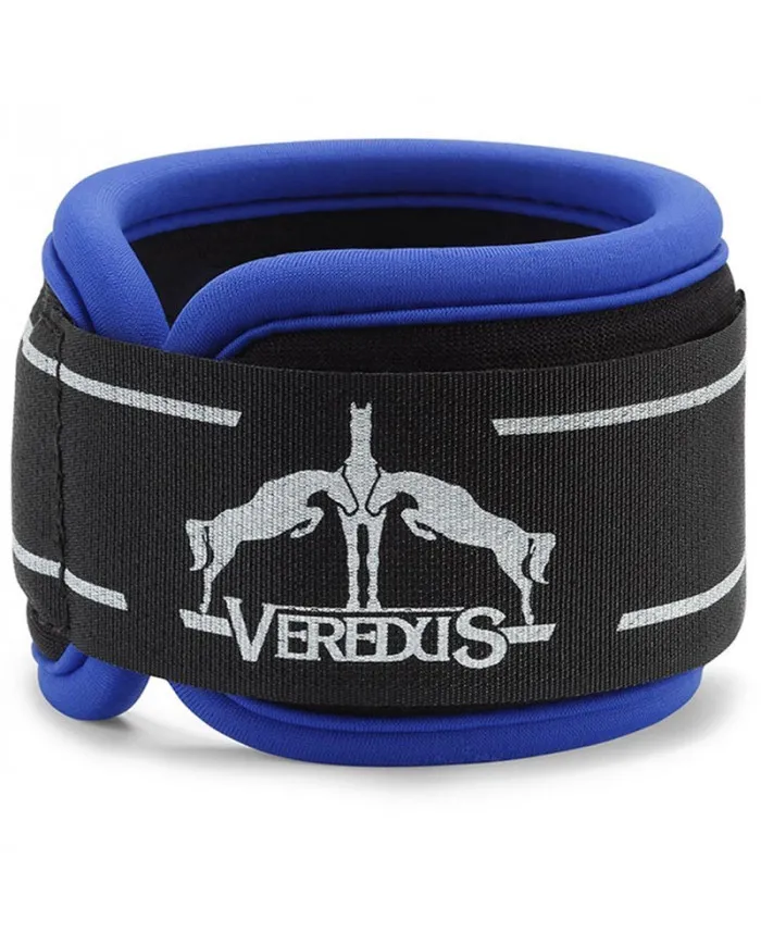 Enveloppe Veredus Magnetik Pro