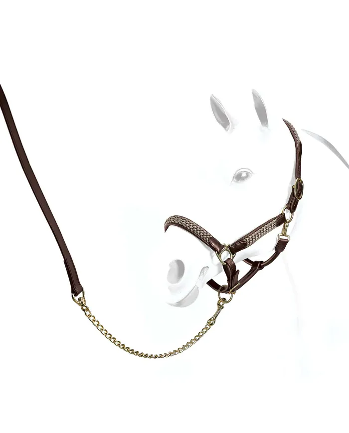 Equipe Licol Avec Tresse