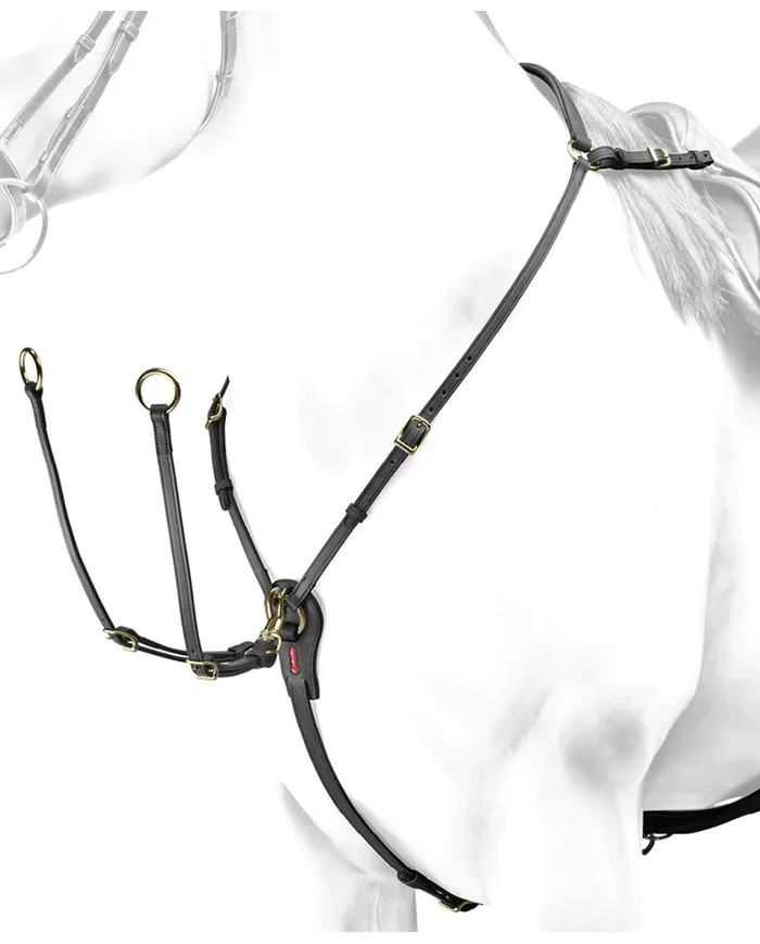 Equipe Martingale de Chasse en Attache Selle Cuir