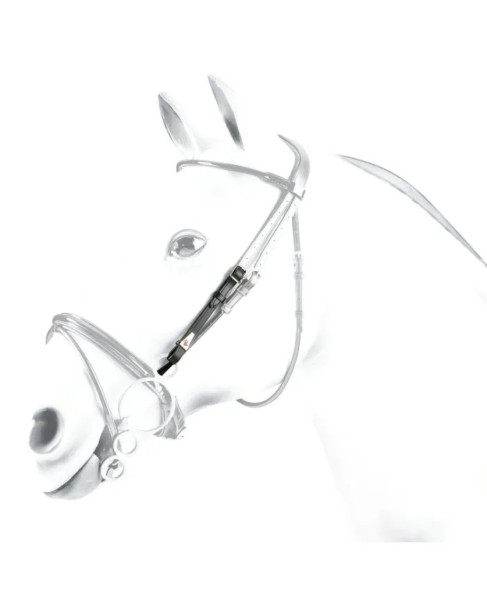 Equipe Montants courts