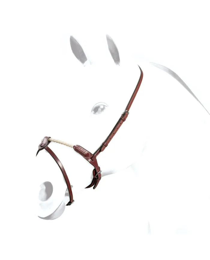 Muserolle Irlandaise Equipe en Cuir