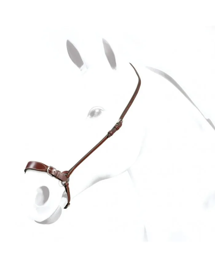 Equipe Capezzina « Contrôle Total »