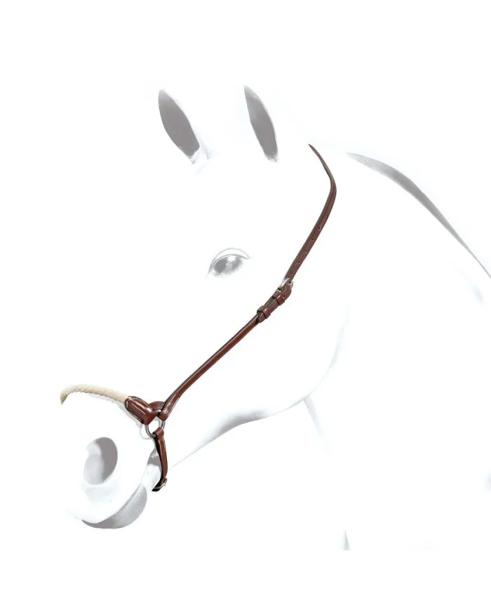 Muserolle Allemande Equipe en Cuir Sedgwick avec Muserolle en Cuir Brut