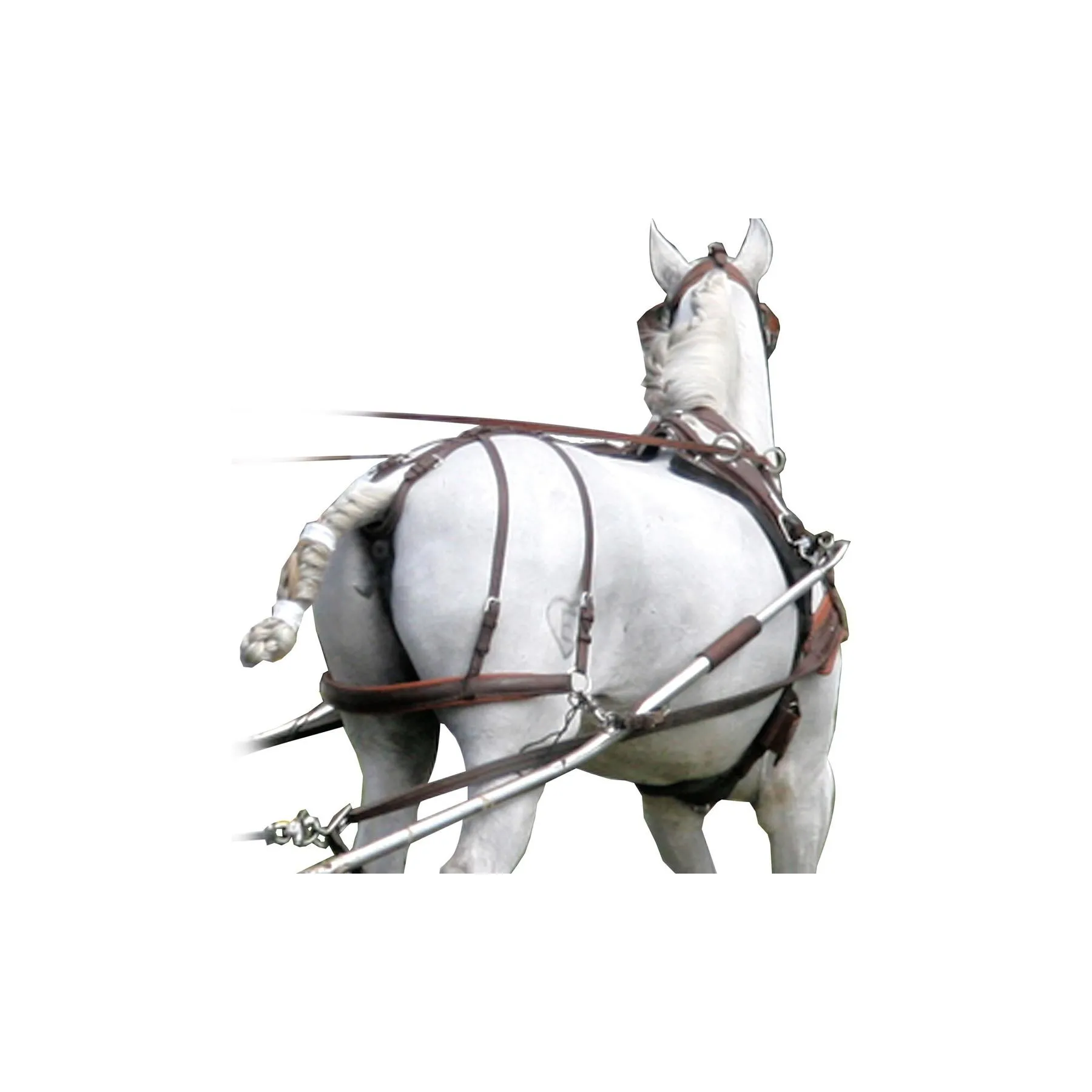 Courroie de reculement Marathon