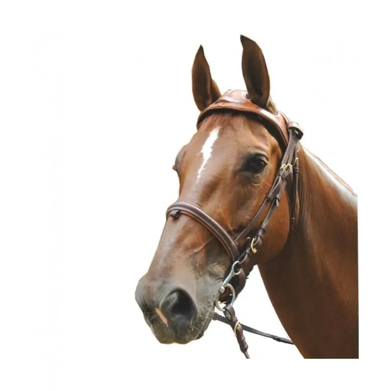 Bridons équitation Headset