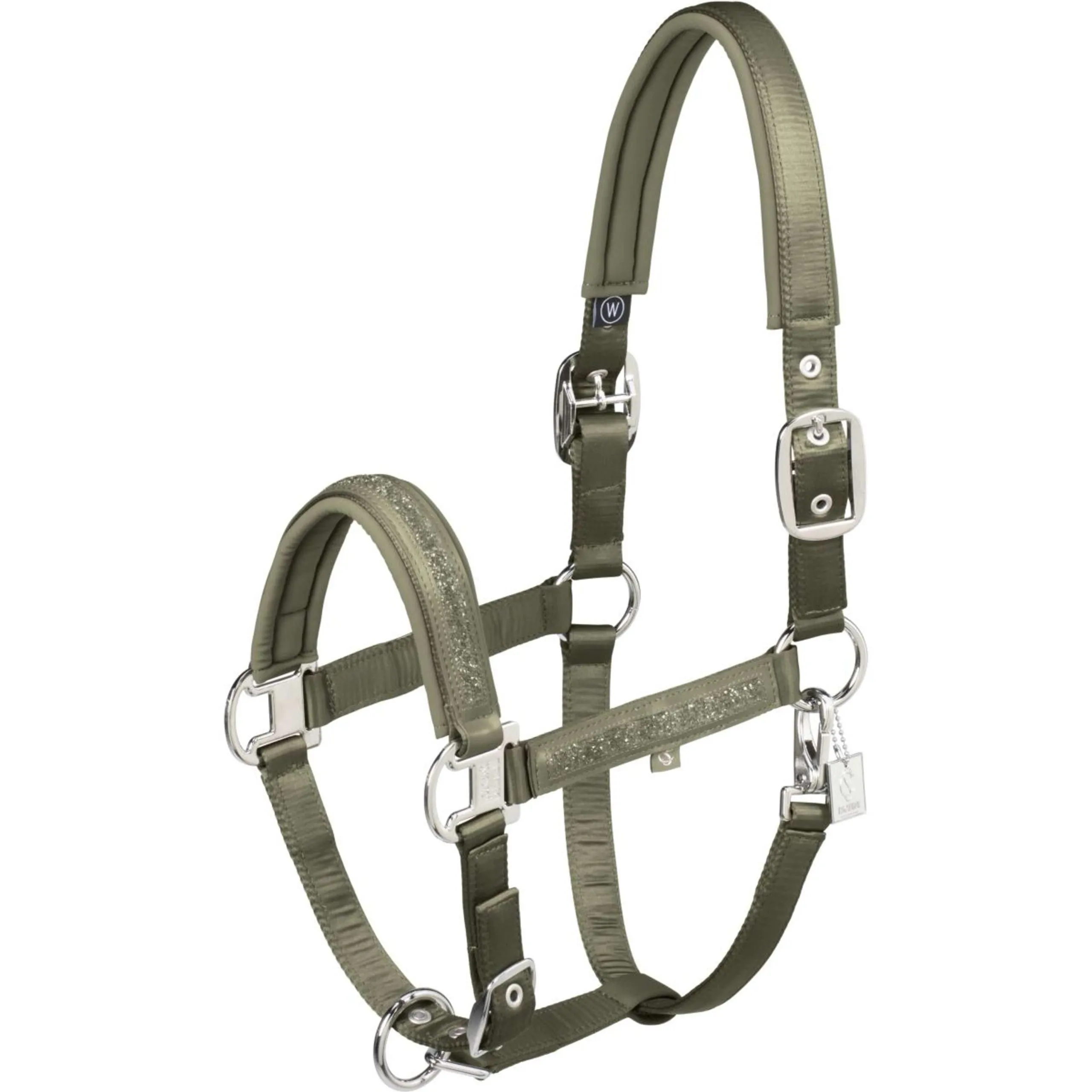 Eskadron Licol Classic Sports '25 Mattgloss Jewel Double Pin Dusty Olive