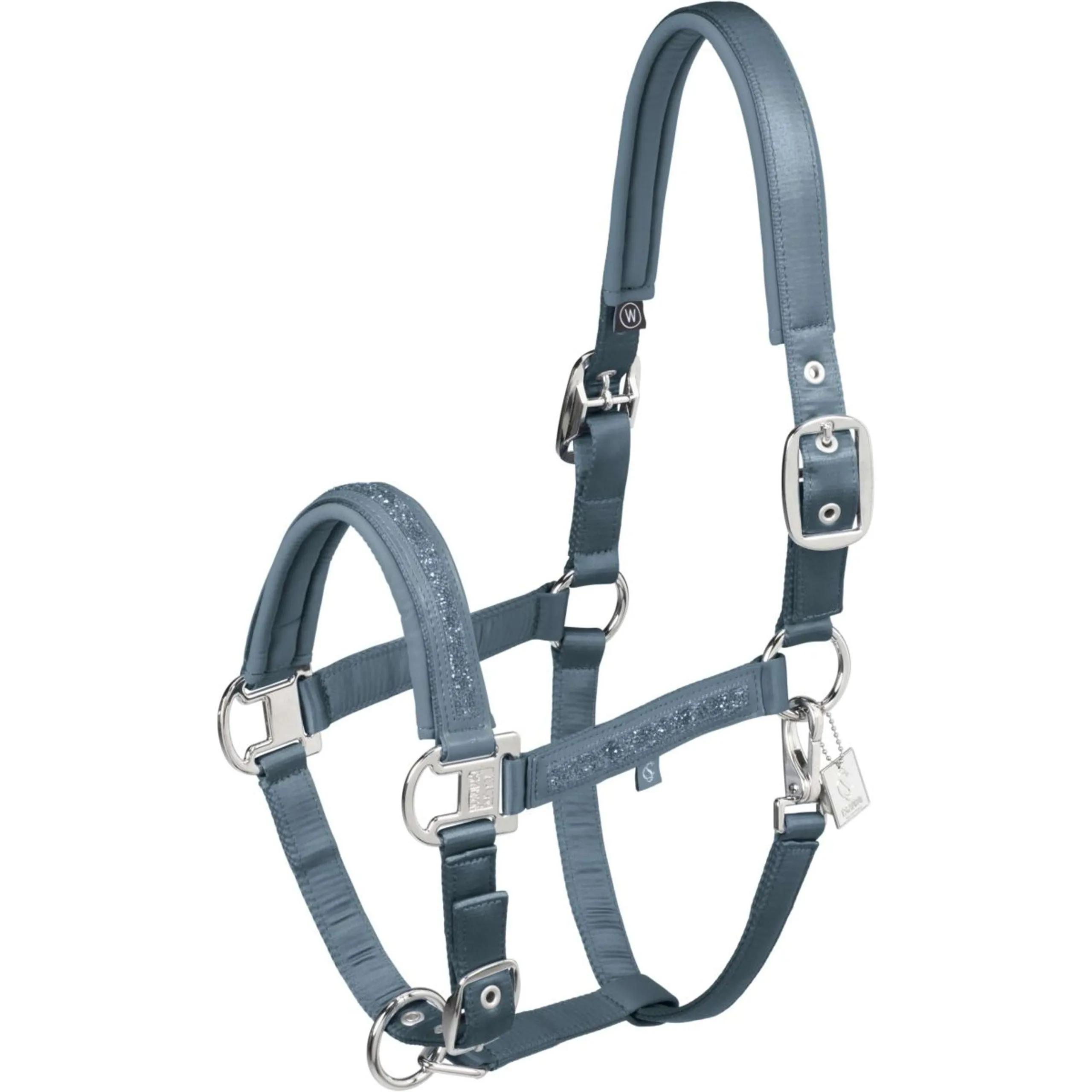 Eskadron Licol Classic Sports '25 Mattgloss Jewel Double Pin Steel Blue