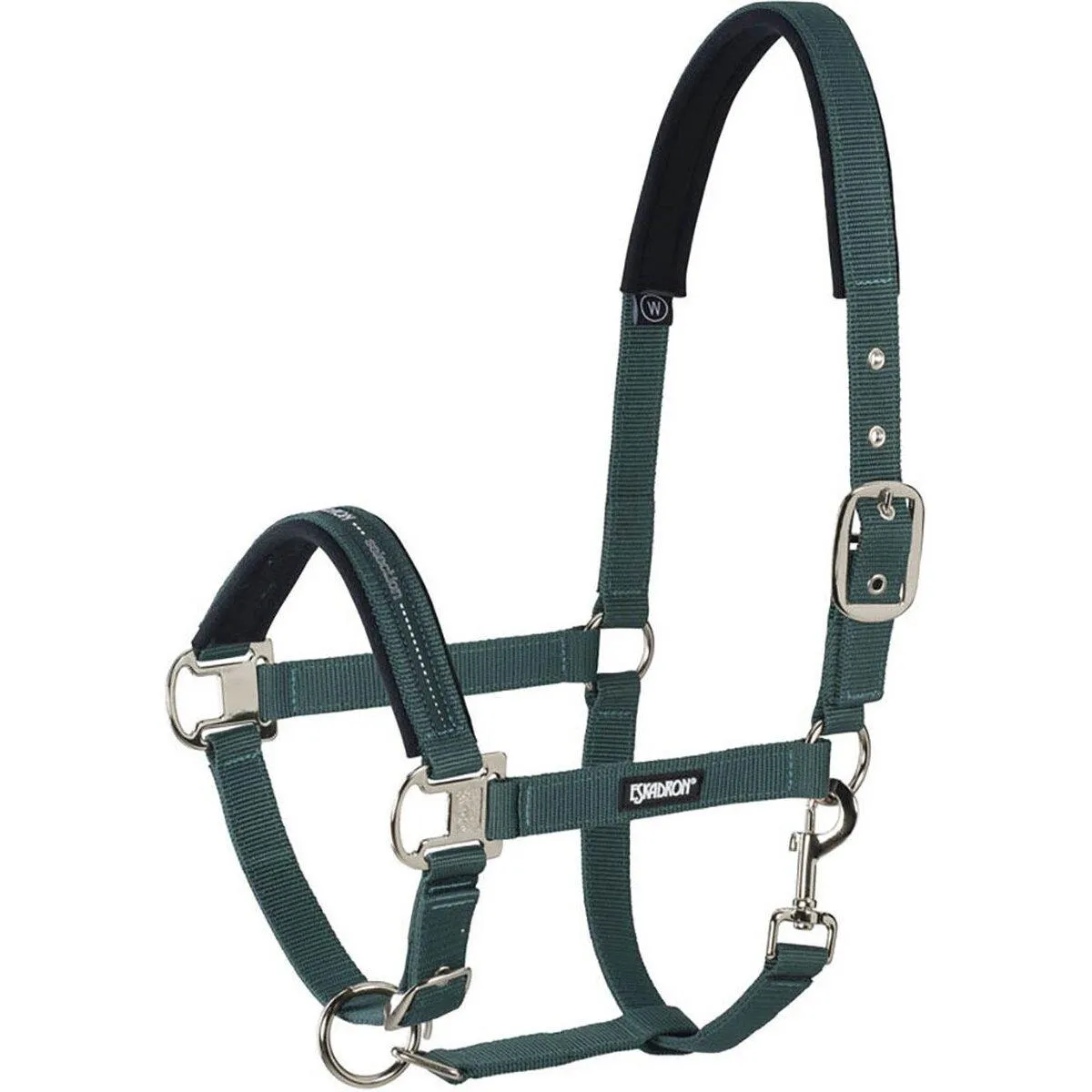 Licol pour cheval Pin Buckle