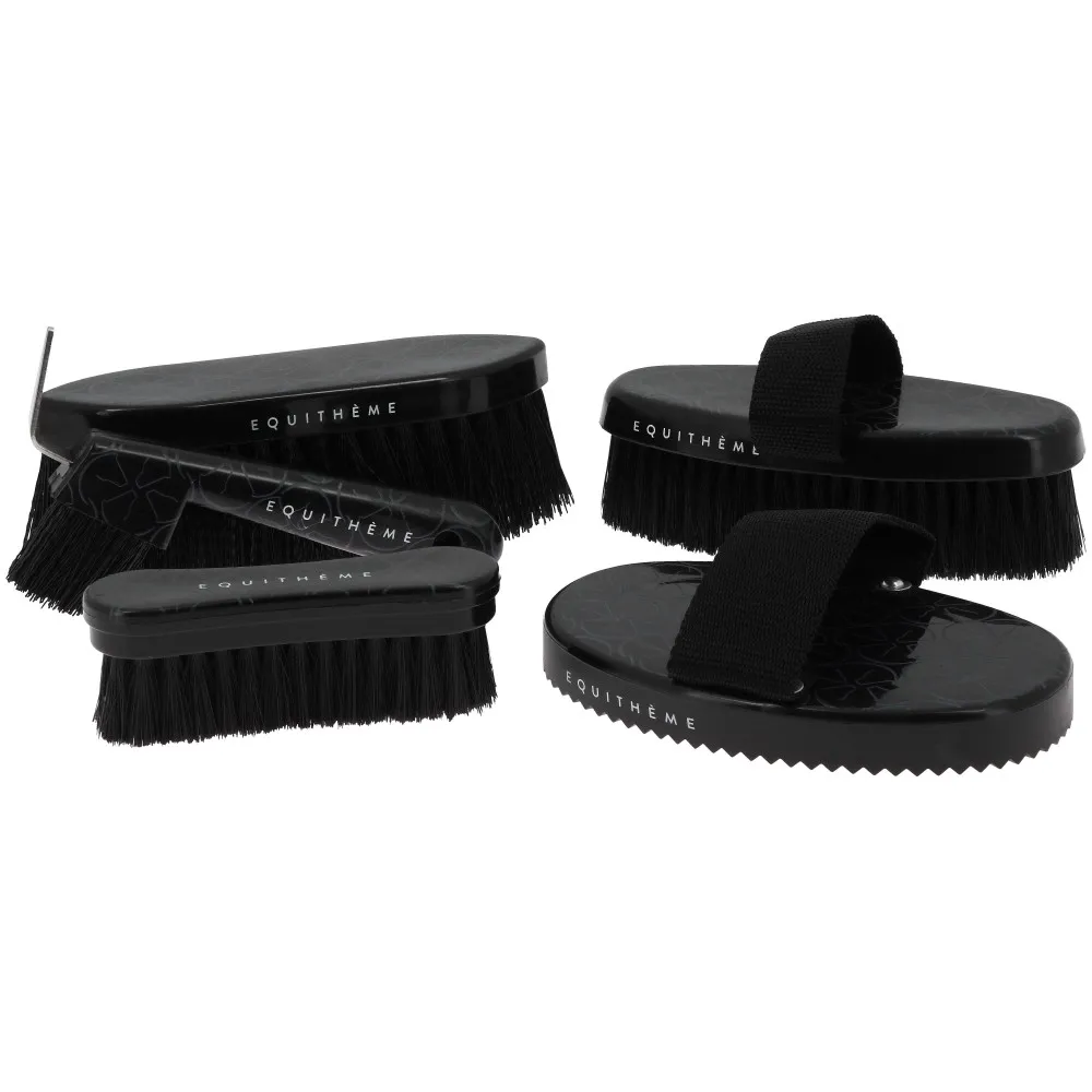 Etrille Equithème Studies