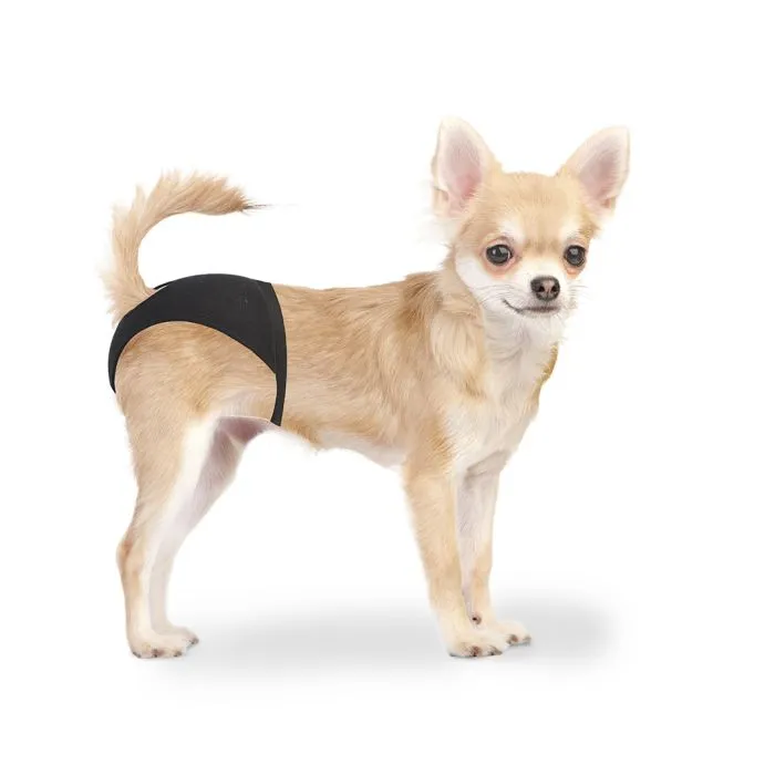 Culotte Pour Chiens 18-23cm