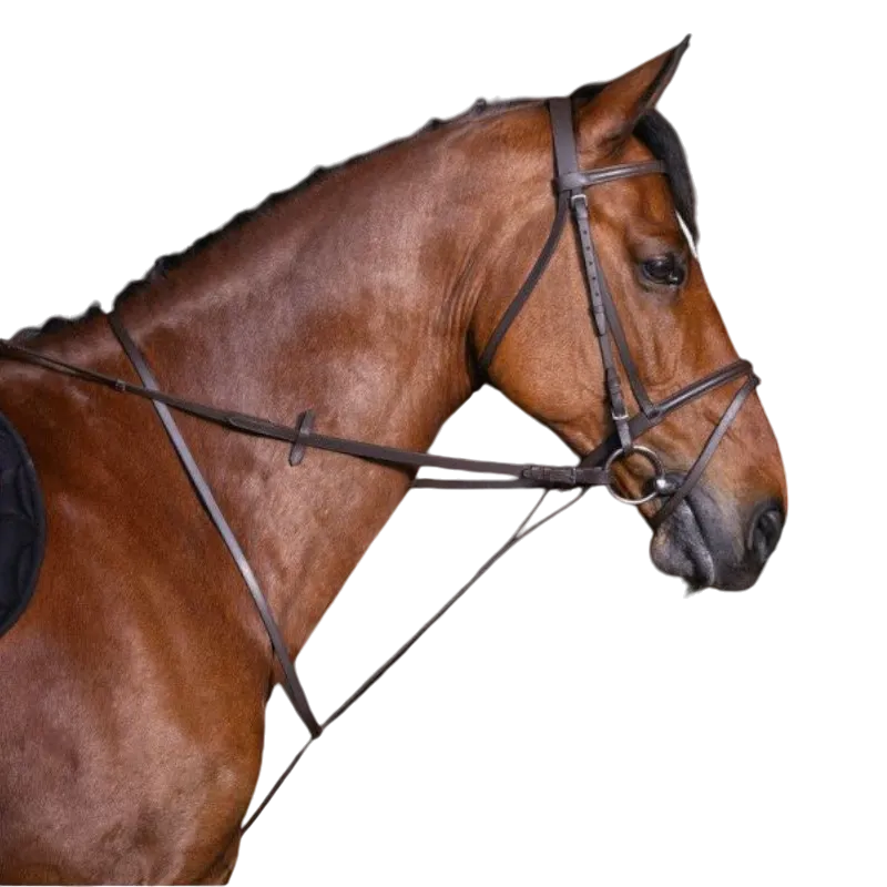 Riding World - Martingale à anneaux havane