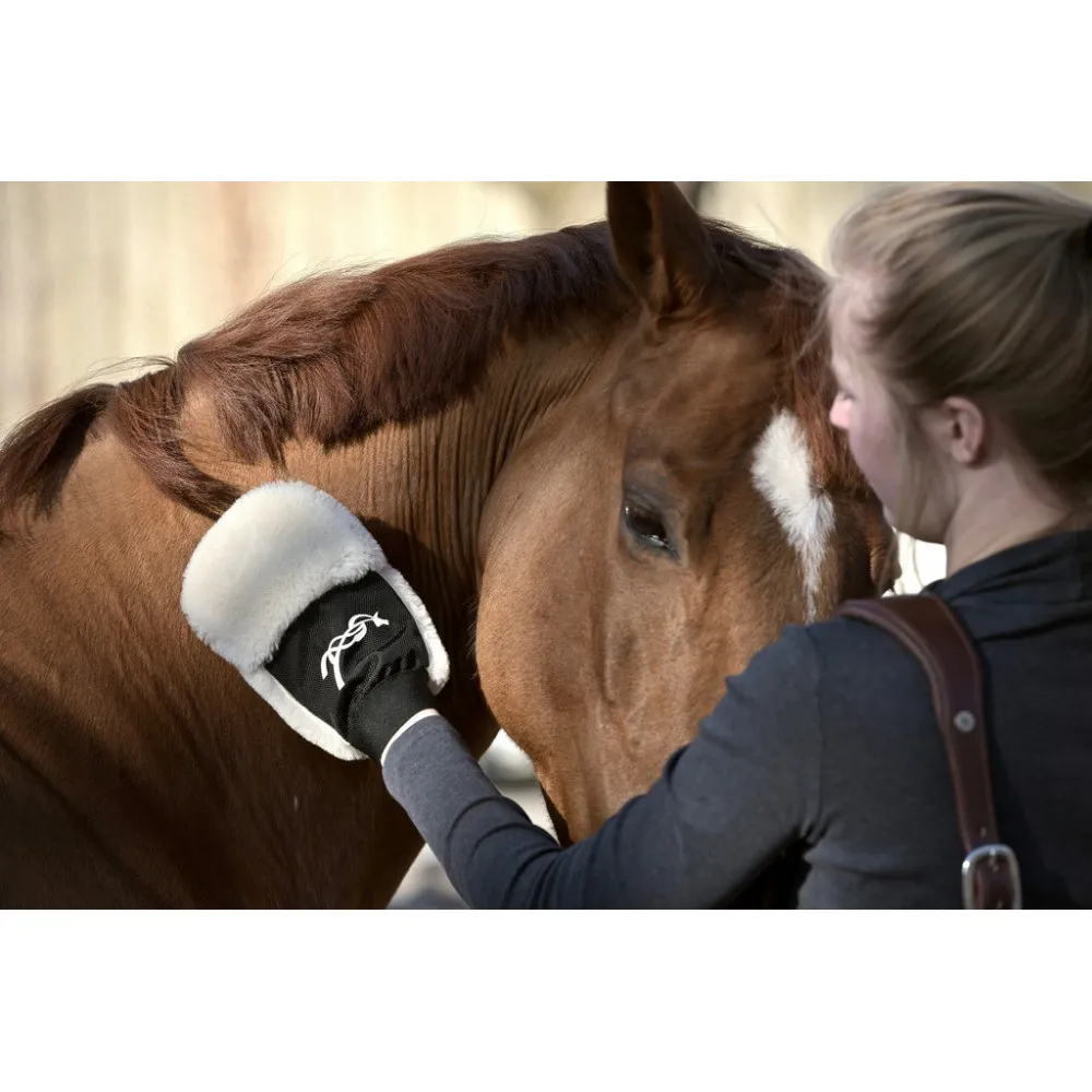 Gant de pansage Pénélope