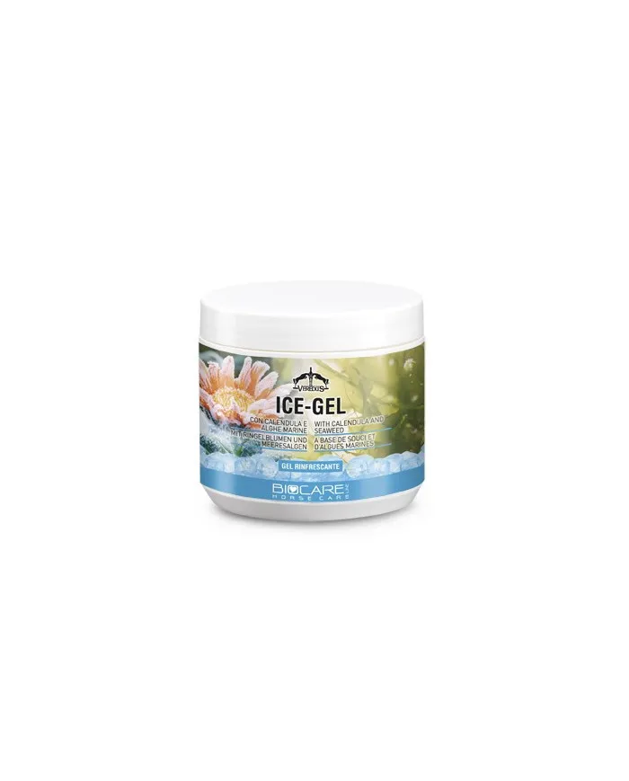 Gel Glacé Veredus 500ml