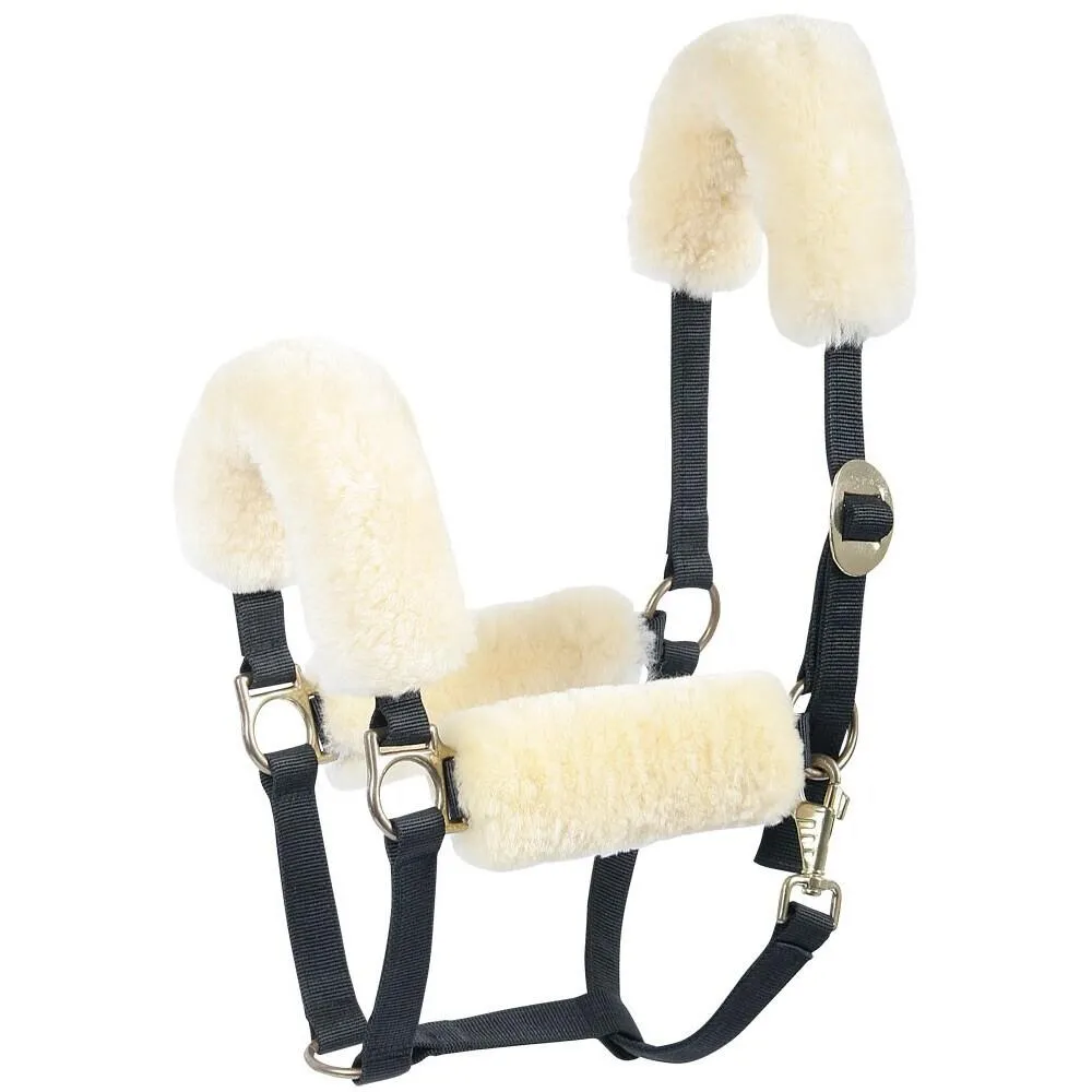 Fourreau de muserolle mérino