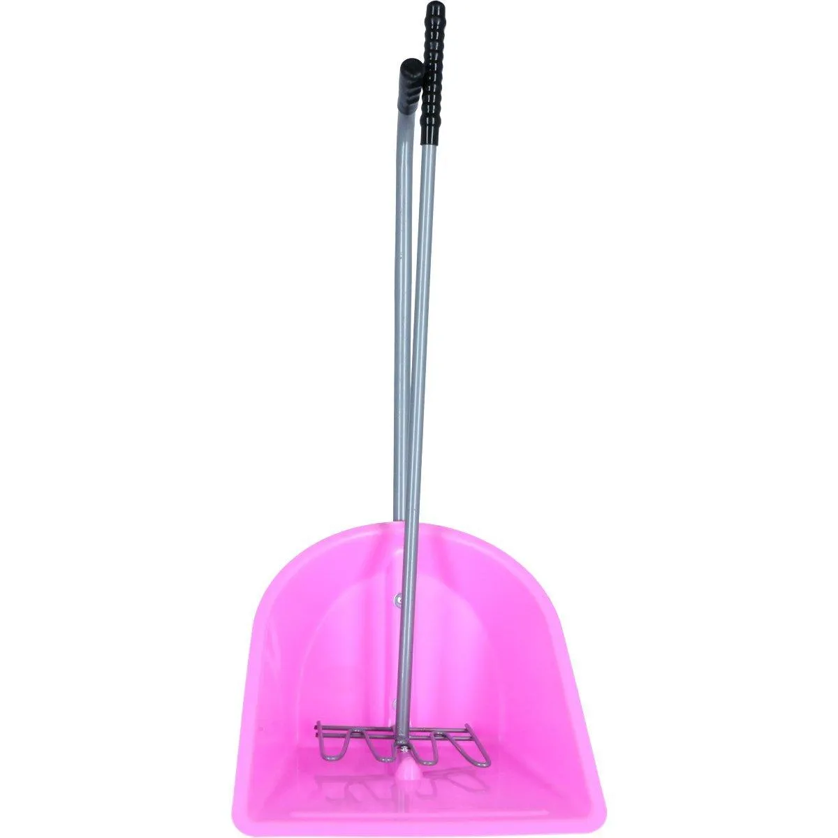 Pelle et rateau à crotins