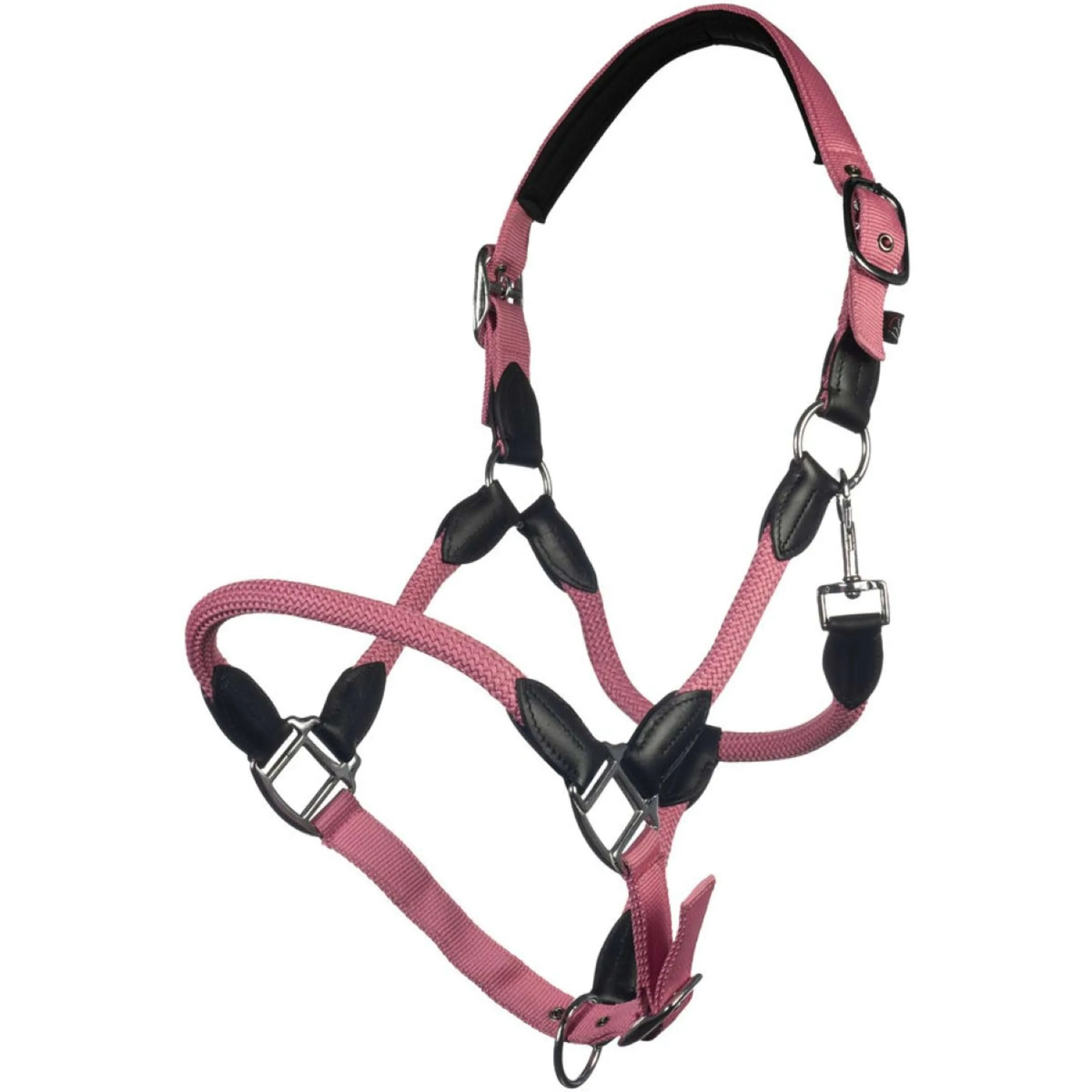 HKM Licol Carlotta Rose