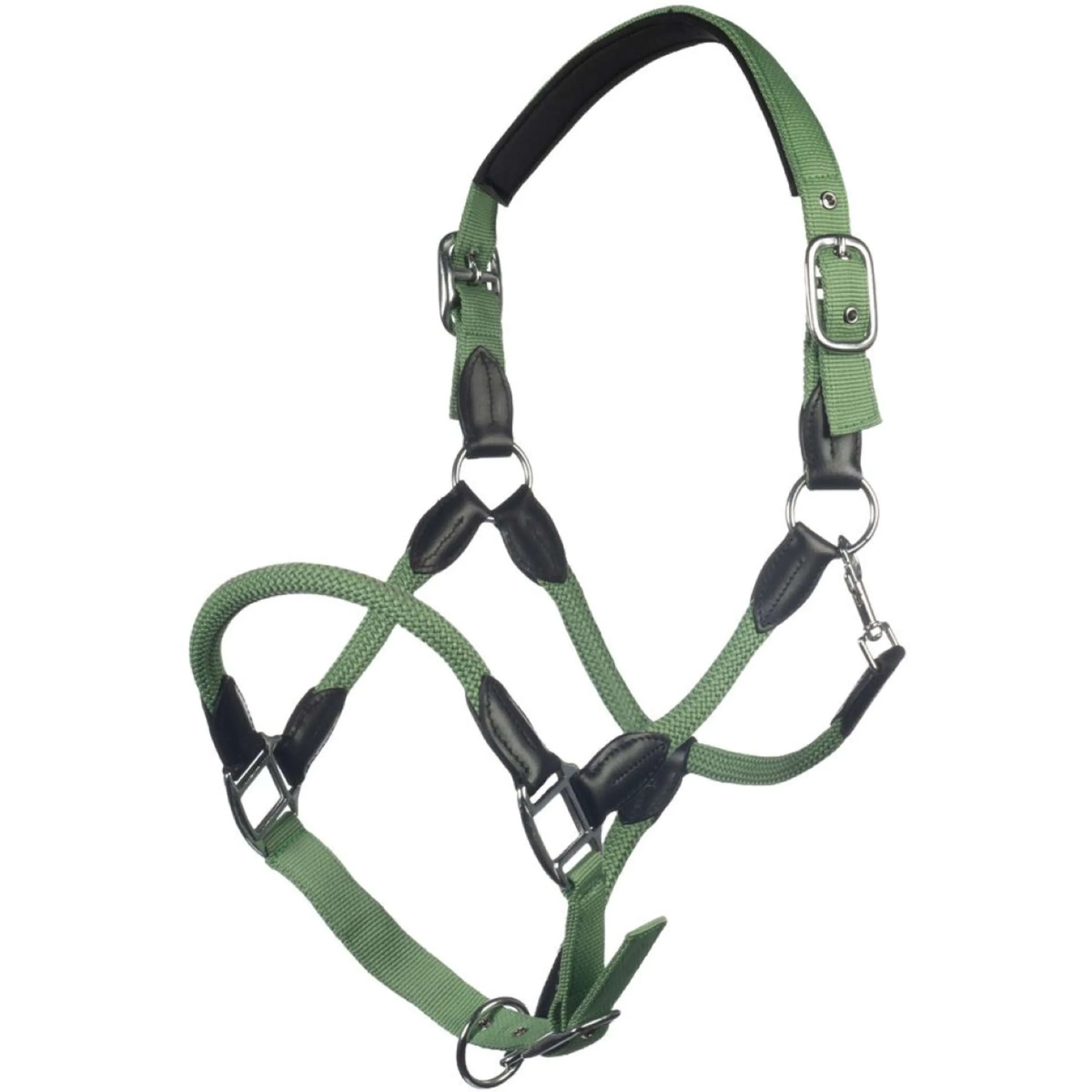 HKM Licol Carlotta Jade