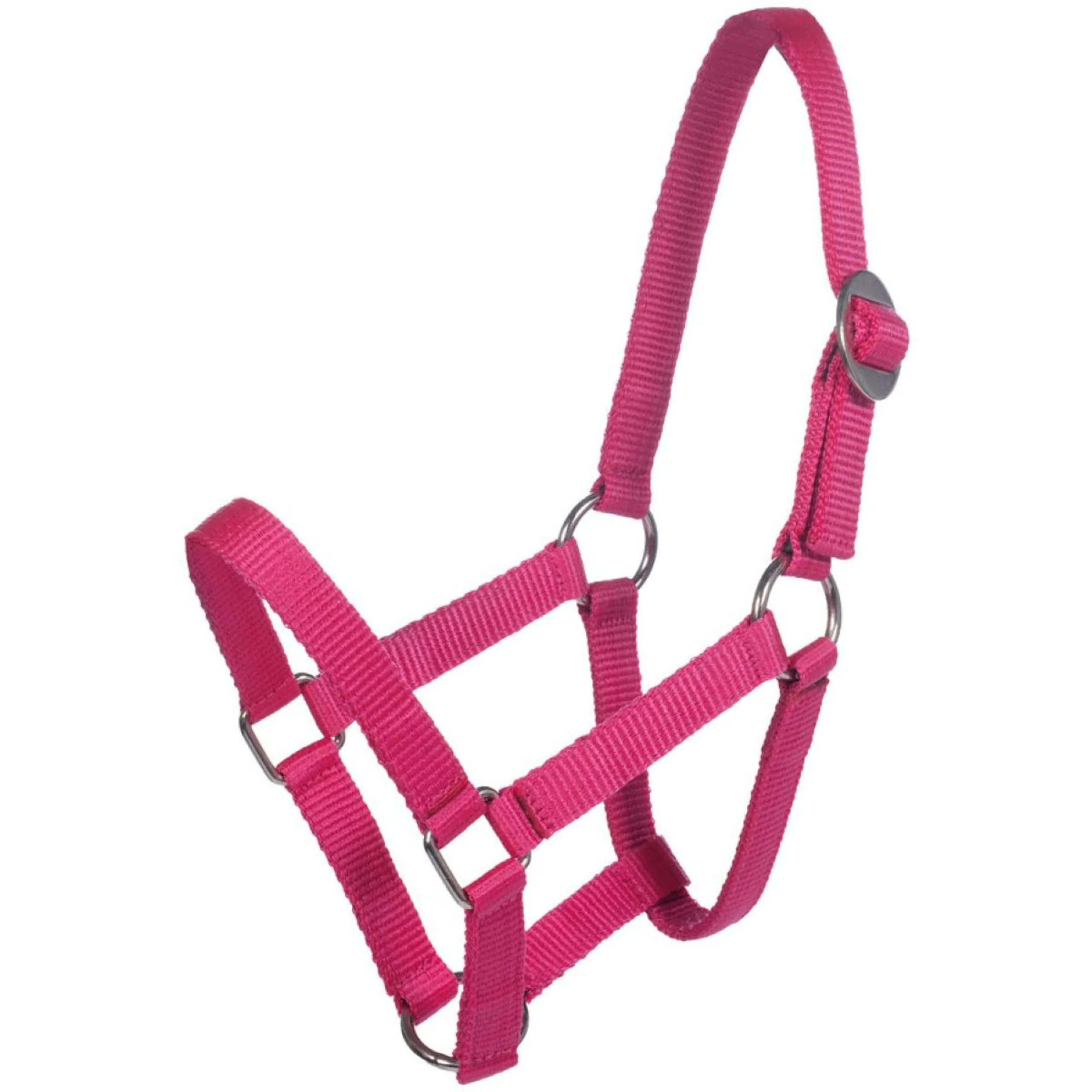 HKM Licol Mini Shetland Rose