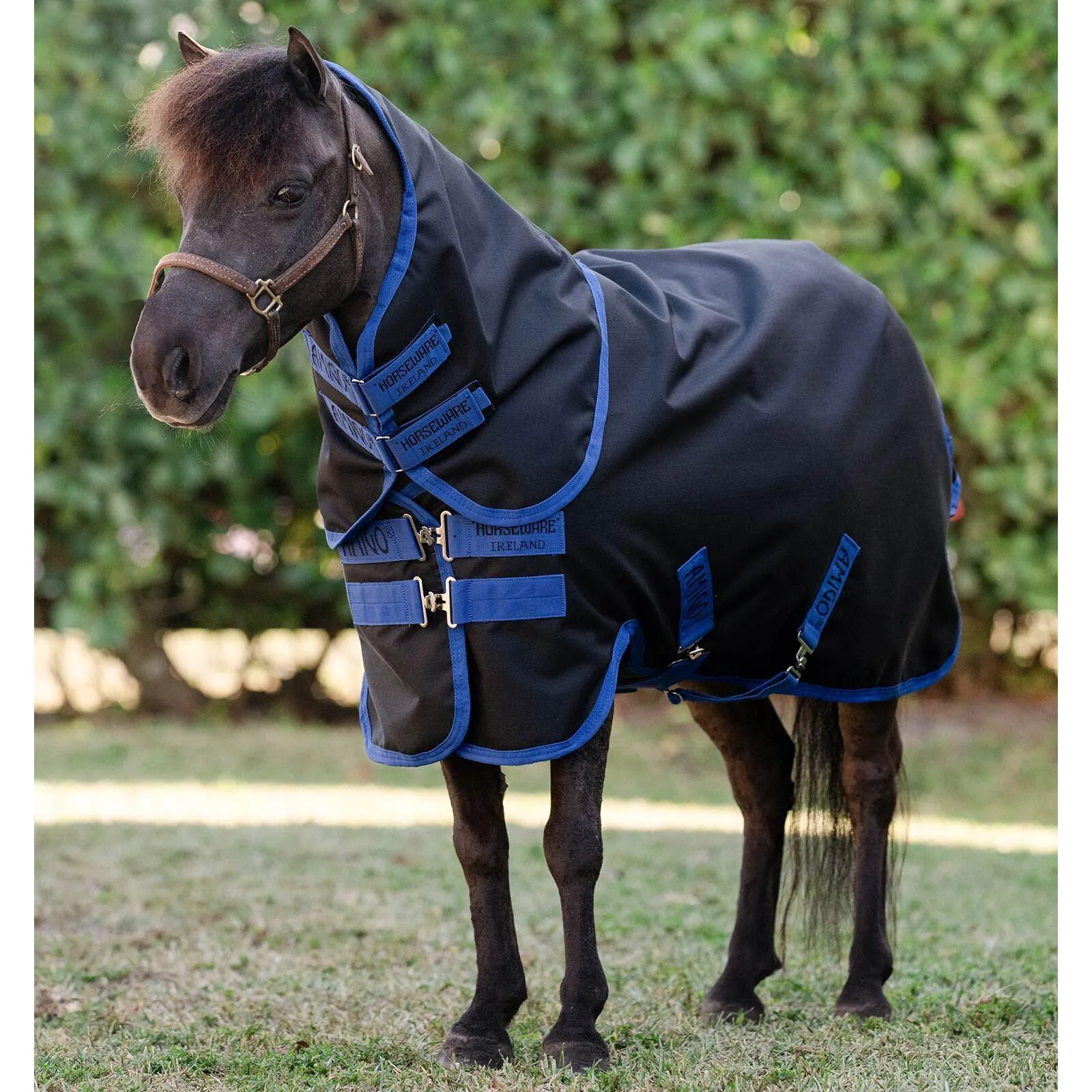 Couverture d'extérieur pour poney Amigo Ripstop 900D Plus Turnout 0g