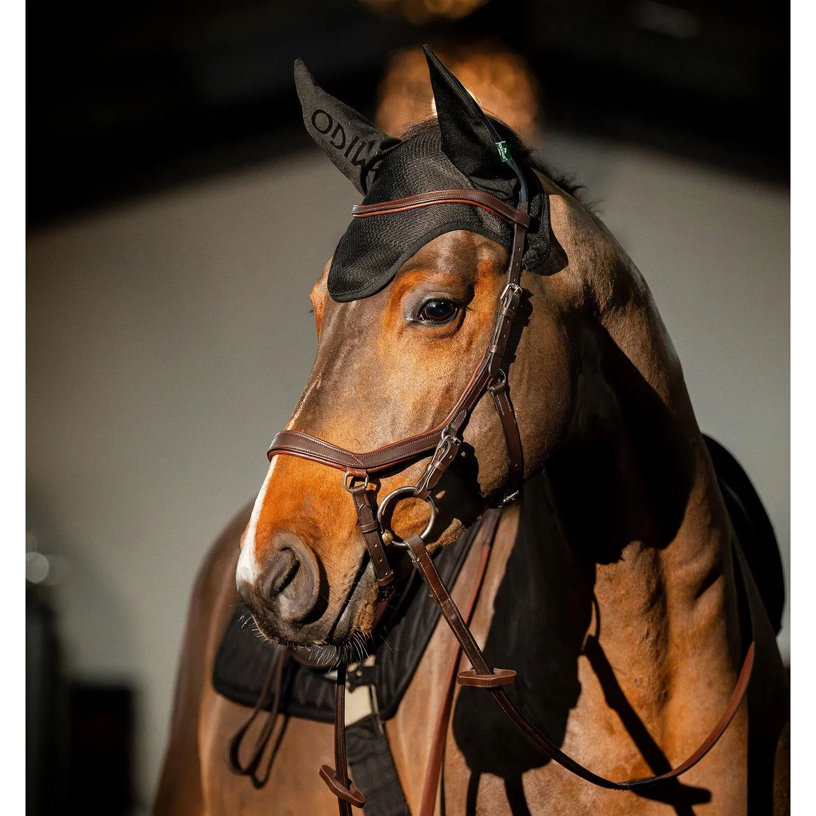 Bonnet anti-mouches pour cheval Amigo Earnet