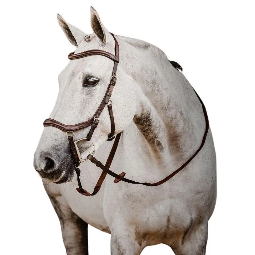Bridons équitation Micklem 2 Deluxe