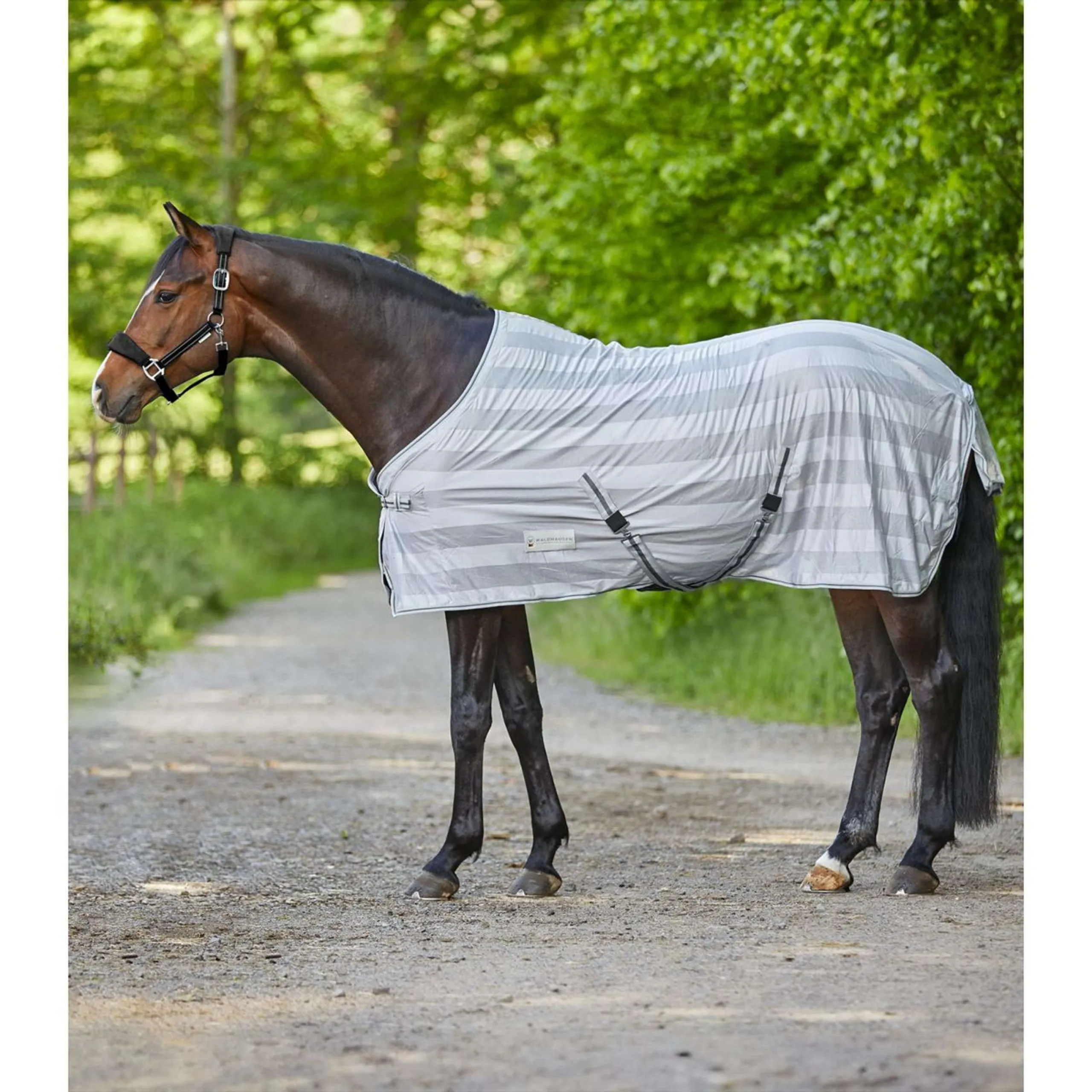 Waldhausen Couverture Anti-Mouches Economic Gris Argent