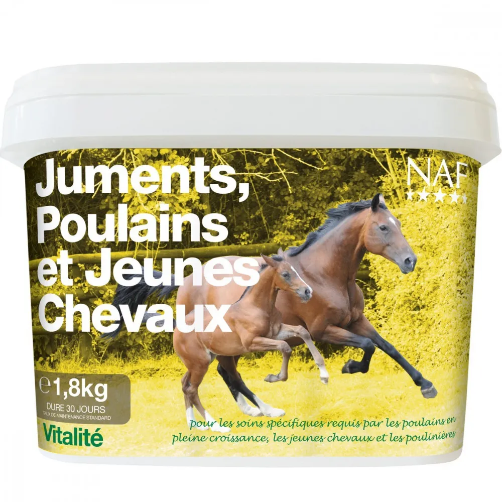 Juments, poulains et jeunes chevaux NAF