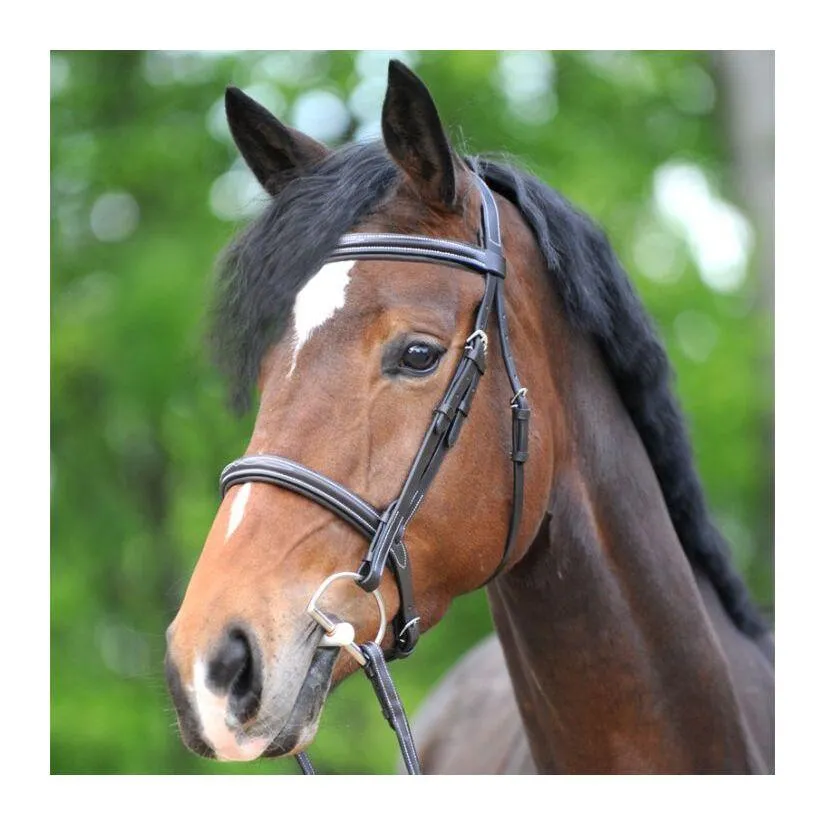 Bridons équitation Akila Hunter