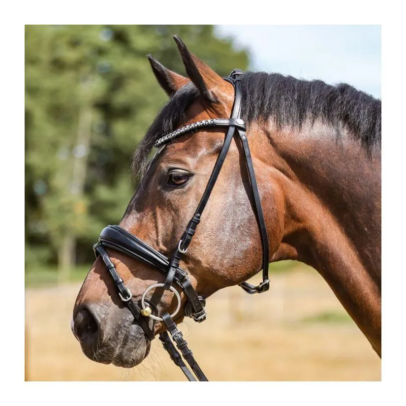 Bridon Ayana KavalSH5