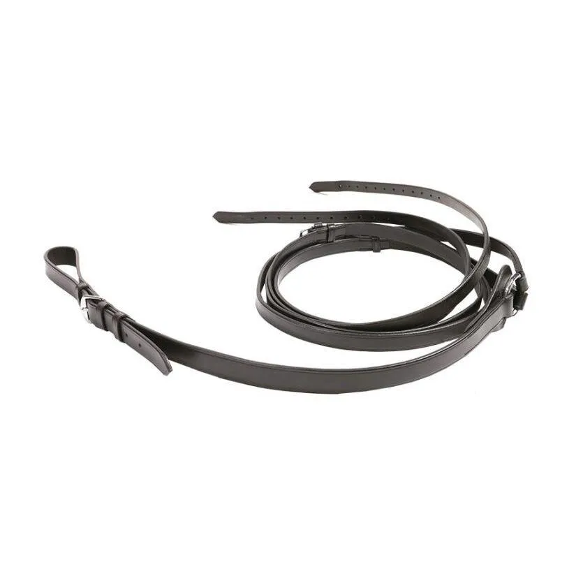 Rênes fixes triangulaires