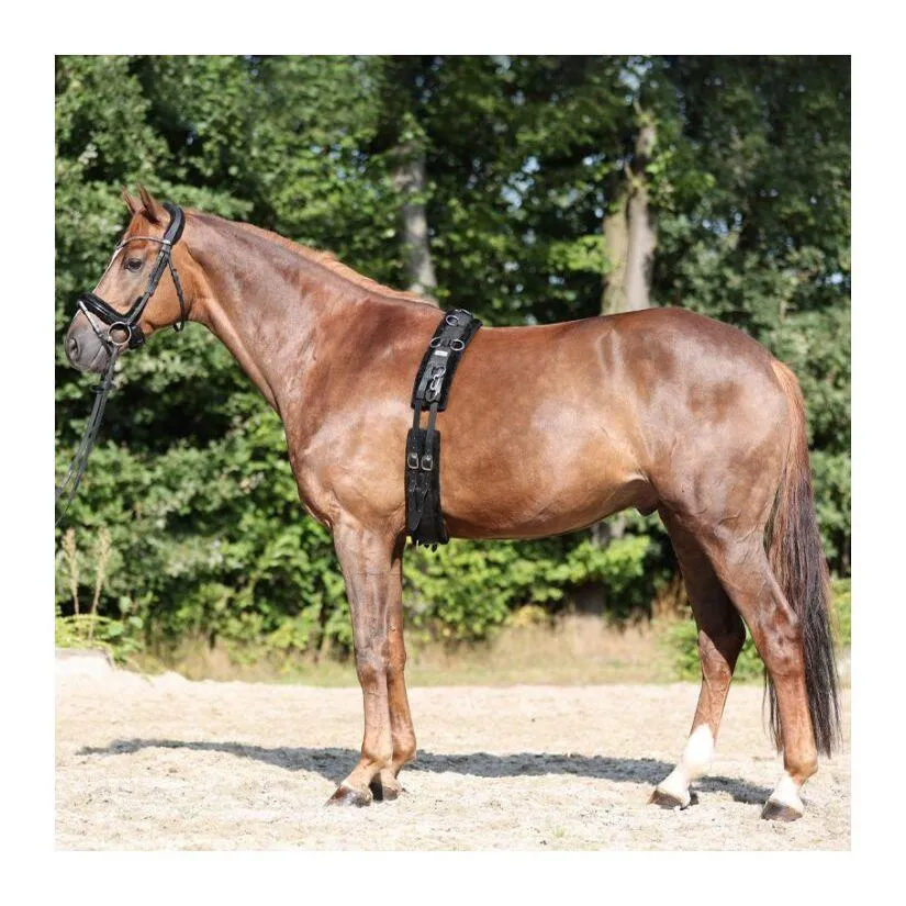 Sangle anatomique avec fausse fourrure