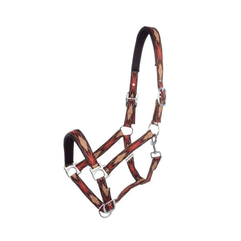 Licol pour cheval Classic Raute