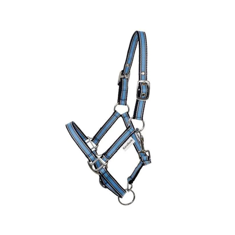 Licol pour cheval en deux tailles différentes Shorty