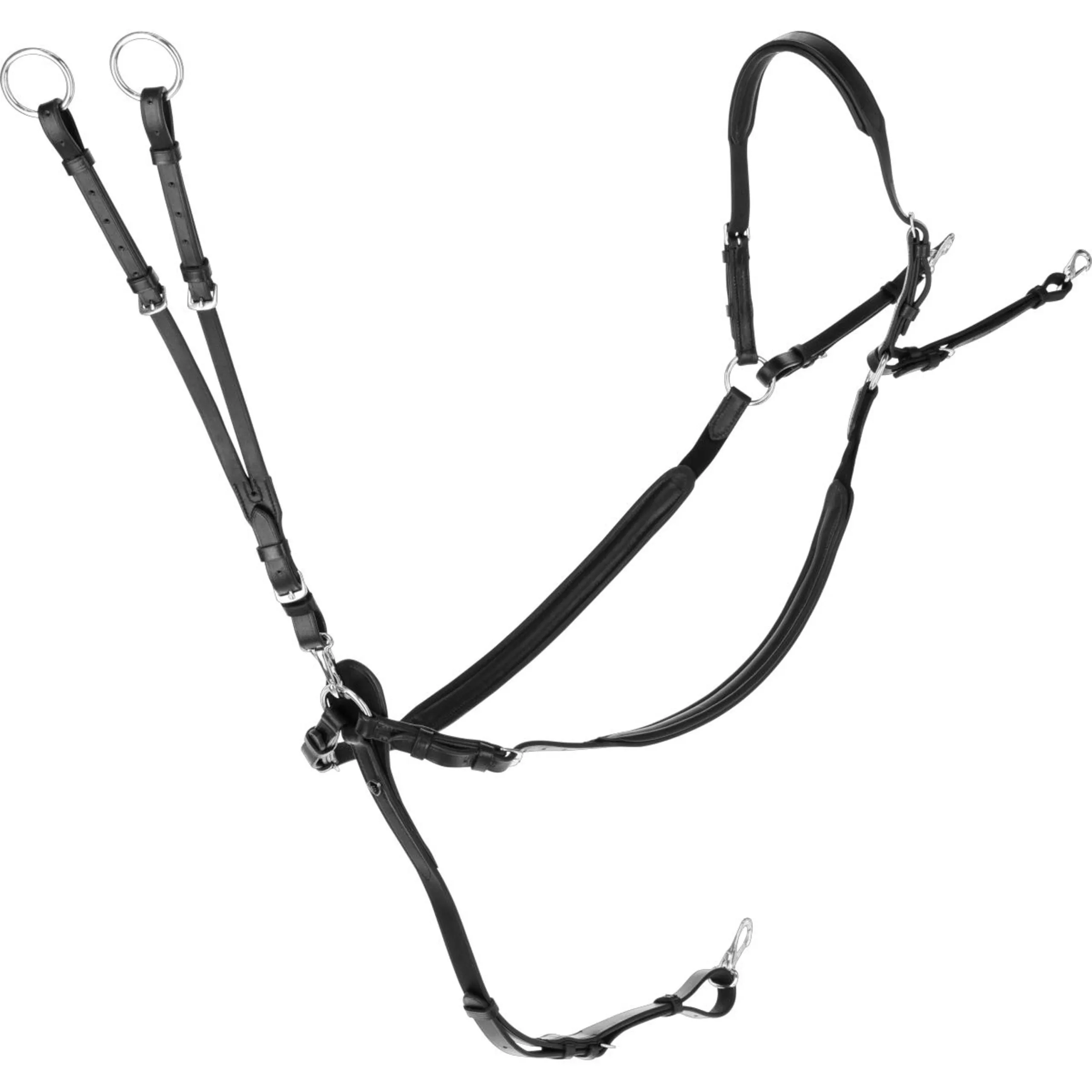 Covalliero Collier de Chasse avec Martingale Noir