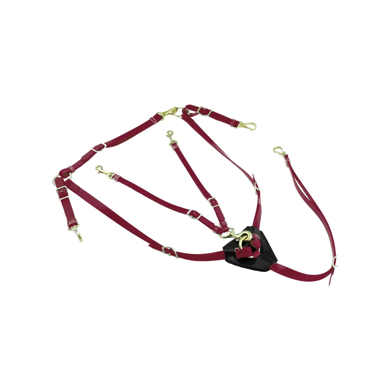 Collier de chasse pour cheval et martingale en biothane avec boucles en laiton