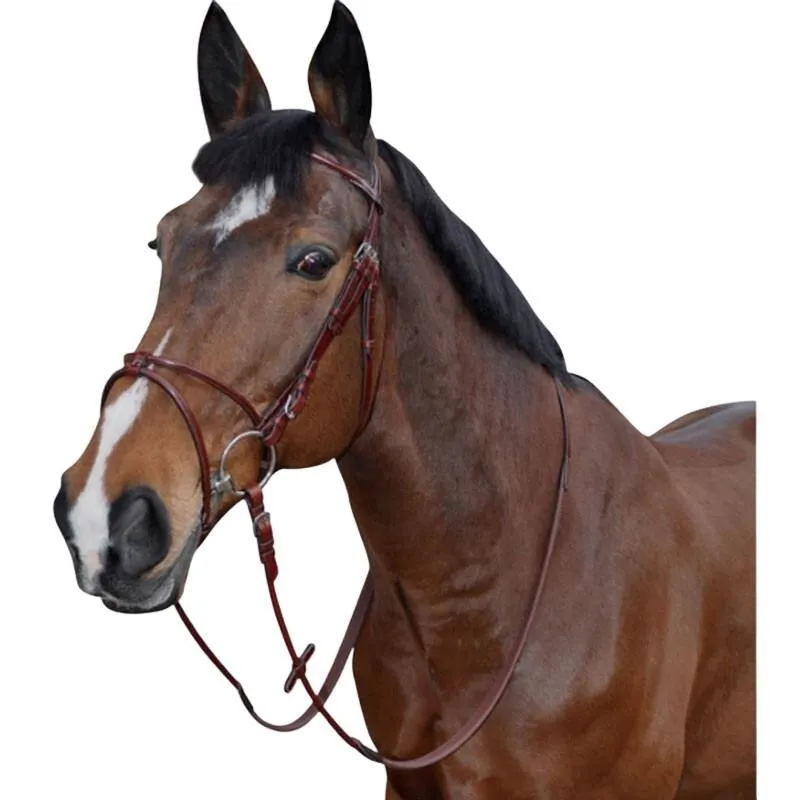 Bridons équitation atlanta rond