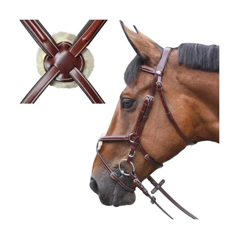 Bridons équitation austin croisé