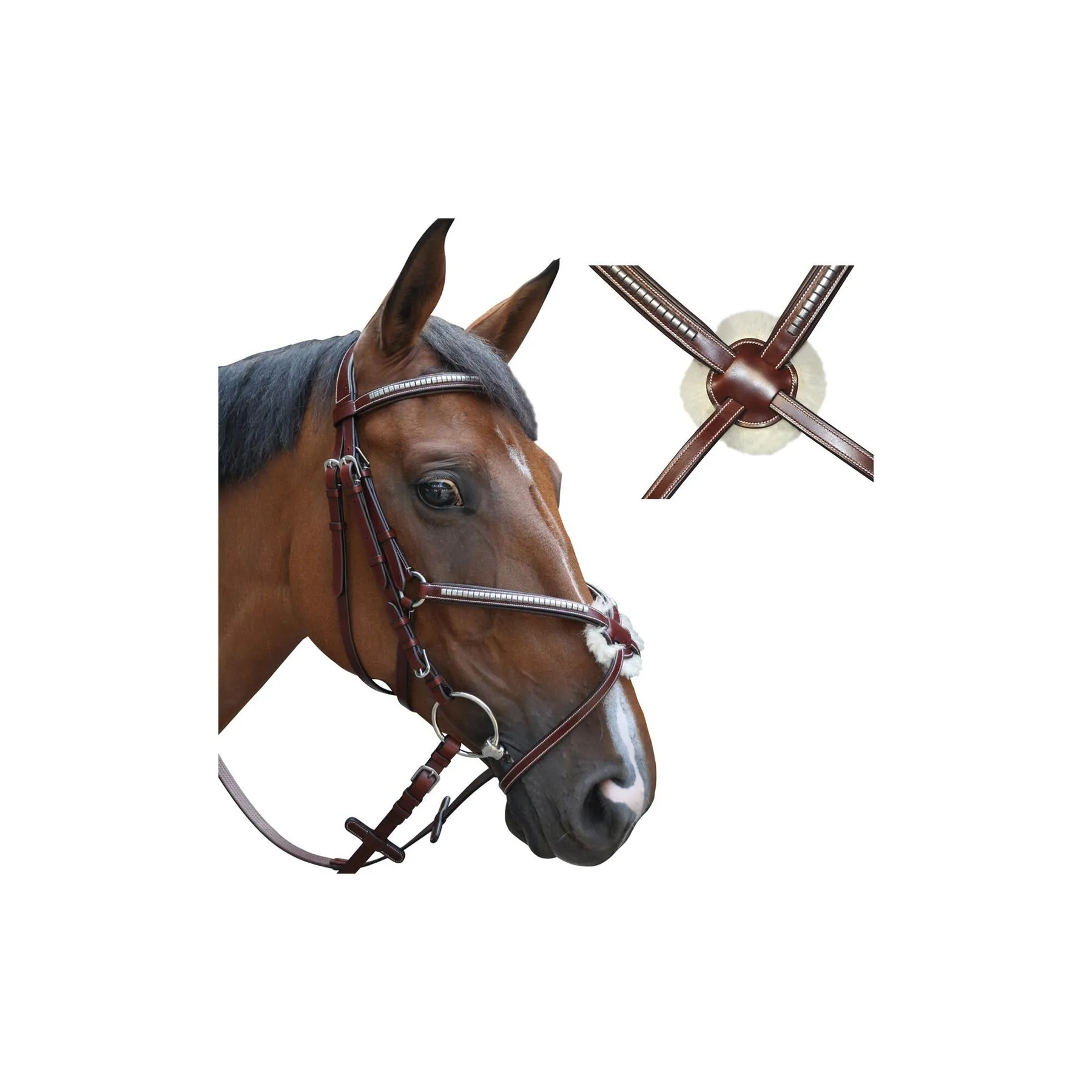 Bridons équitation tucson croisé