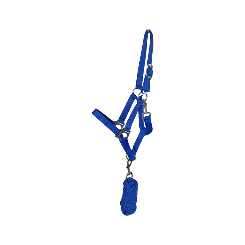 Riding World - Licol et longe Club Bleu Roi