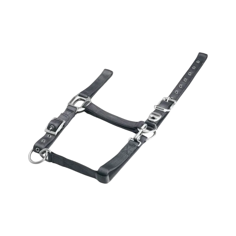 Equithème - Licol en nylon gris