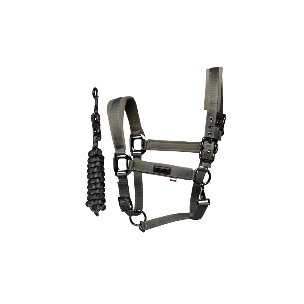 Licol en velours Kingsland KLVigga