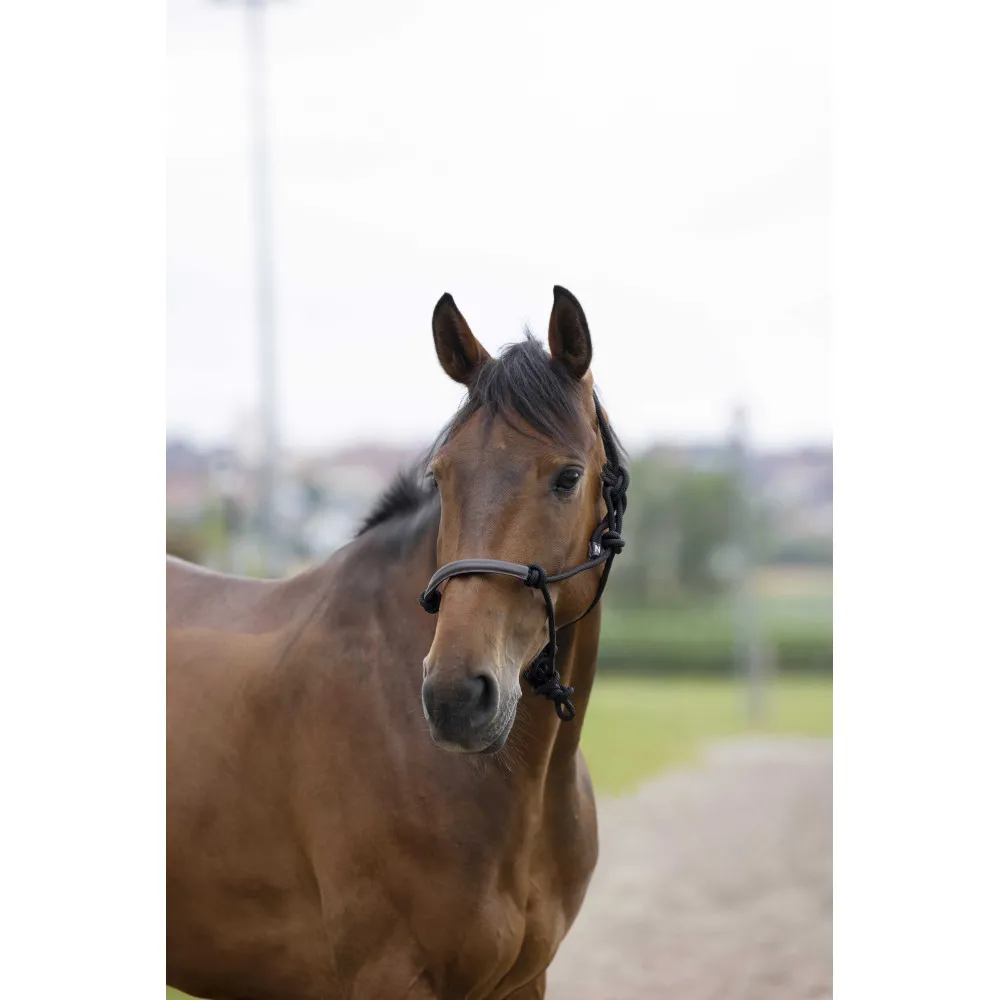 Licol éthologique Norton corde/synthétique