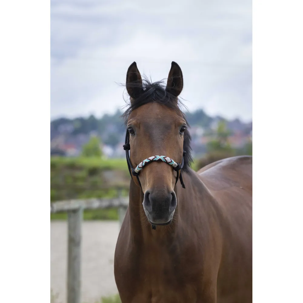 Licol éthologique Norton Pearl