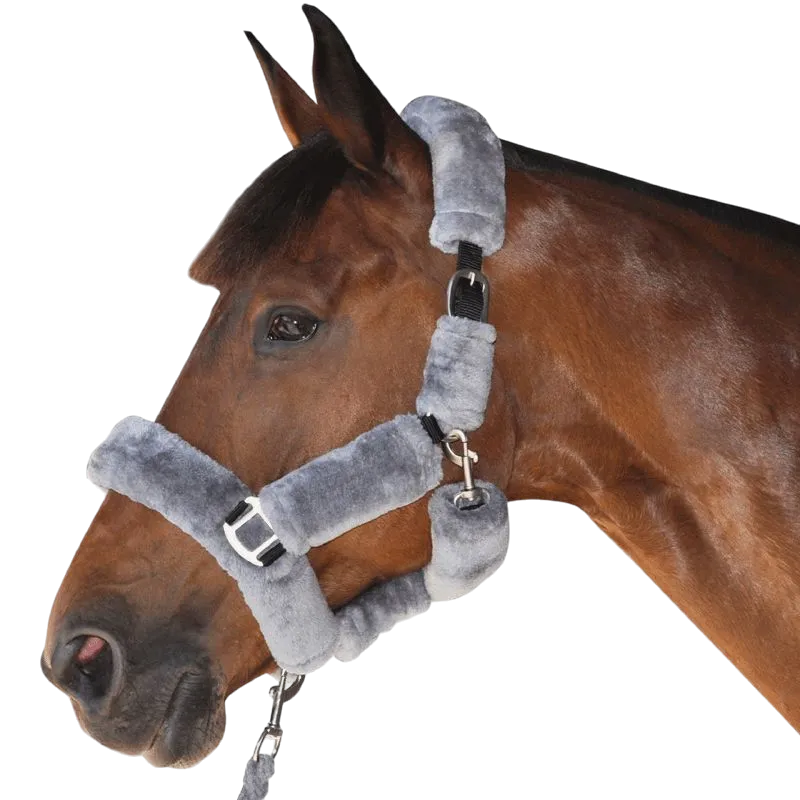 Canter - Licol de transport gris