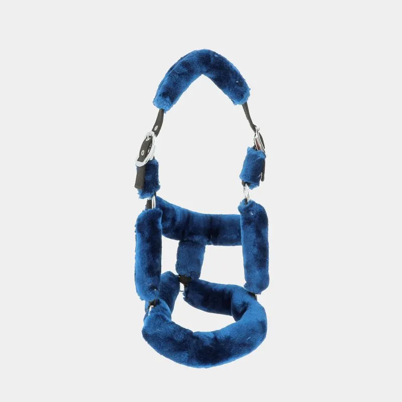 Flags & Cup - Licol cheval de transport marine