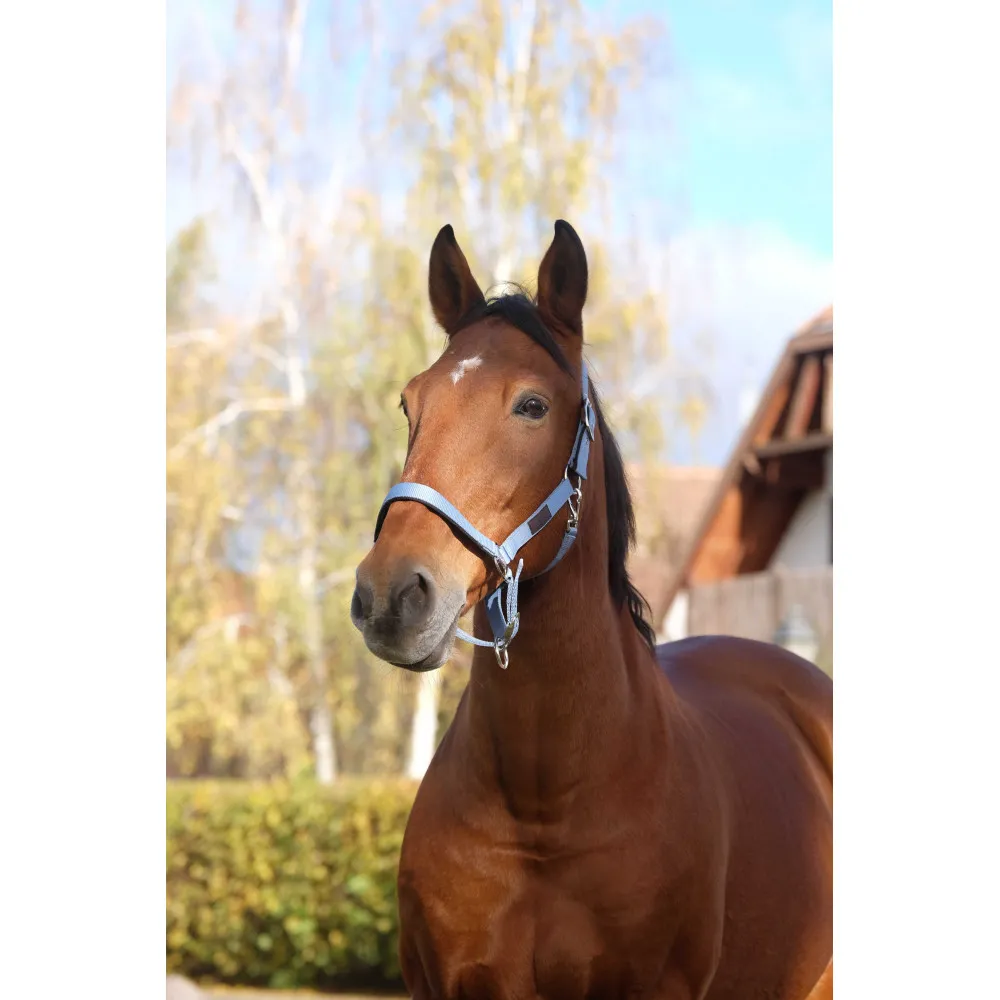 Licol Nylon Spring Equithème