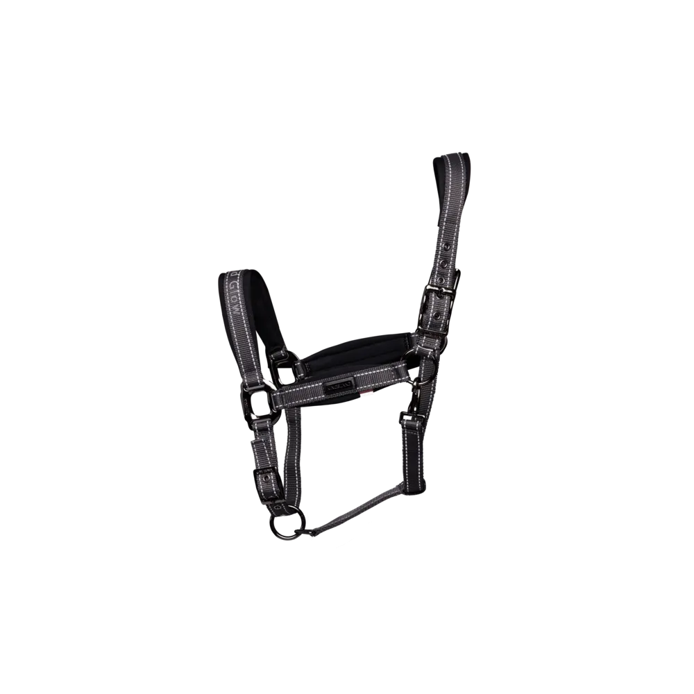 Licol réfléchissant Kingsland KLVarsin