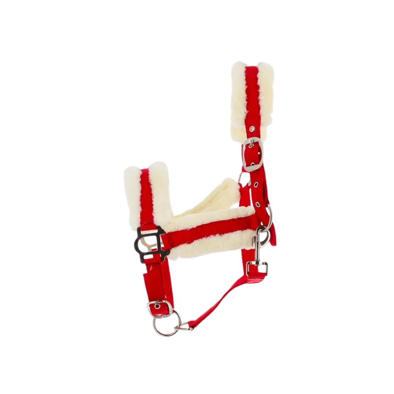 Norton - Licol Confort rouge/bouclerie argenté