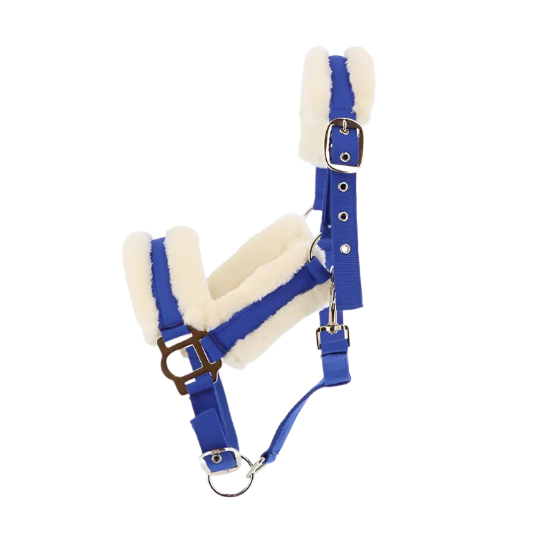 Norton - Licol Confort bleu vif